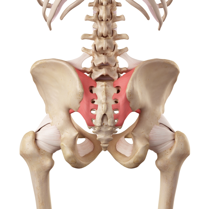 sacroilliac joint dysfunction 2 NW Orthopaedic Specialists Spokane