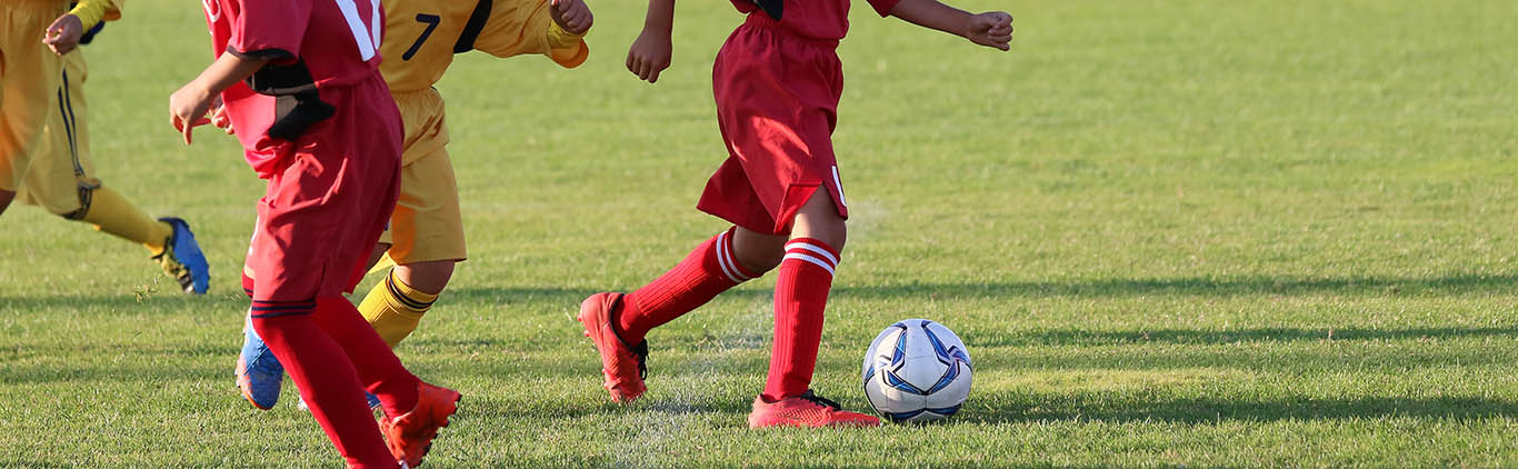 soccer fall sports